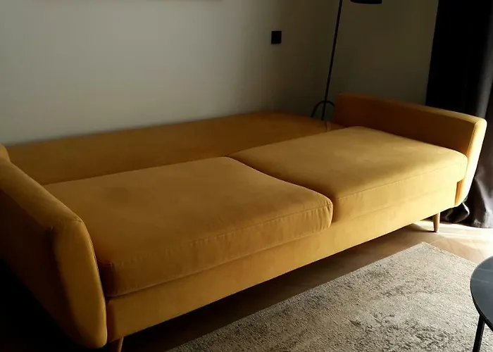 Happy Presidential, Self Check-in, Parking In The Underground Garage * ヴィリニュス